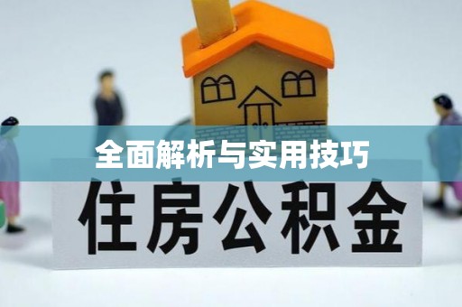 满洲里全面解析与实用技巧
