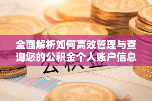 满洲里全面解析如何高效管理与查询您的公积金个人账户信息