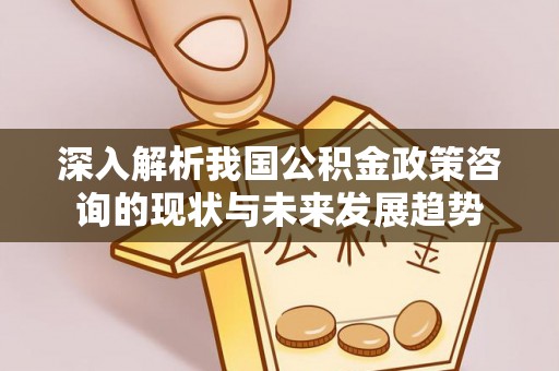 满洲里深入解析我国公积金政策咨询的现状与未来发展趋势