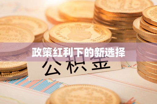 满洲里政策红利下的新选择