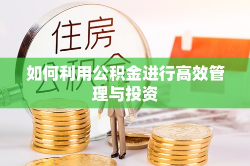 满洲里如何利用公积金进行高效管理与投资